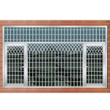 Fenster / Edelstahltür / Schaukelfenster (6735)